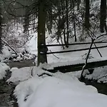 La Mignonne Des Fagnes