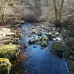 度假居 La Mignonne Des Fagnes 马尔梅迪
