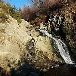 La Mignonne Des Fagnes *