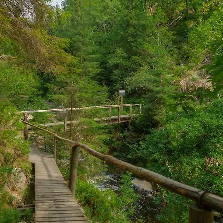 Casa de Férias La Mignonne Des Fagnes
