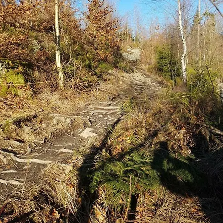 La Mignonne Des Fagnes بيت للعطل مالميدي