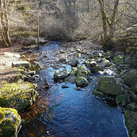 بيت للعطل La Mignonne Des Fagnes مالميدي