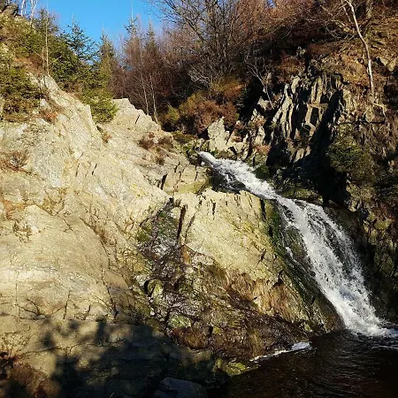 La Mignonne Des Fagnes *