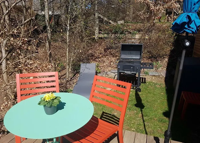 La Mignonne Des Fagnes 말메디