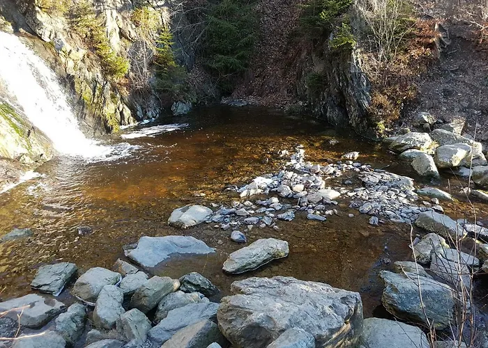 La Mignonne Des Fagnes 펜션