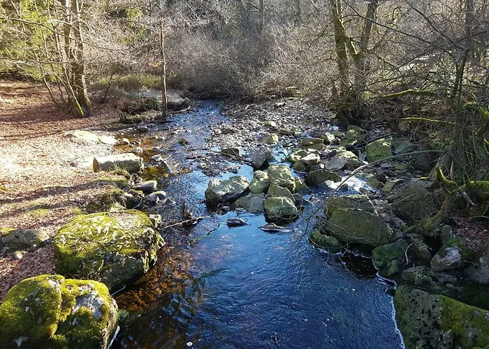 펜션 La Mignonne Des Fagnes 말메디