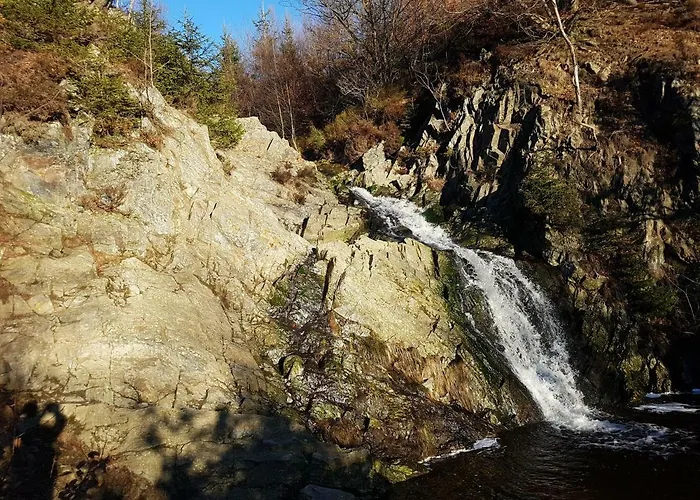 La Mignonne Des Fagnes *